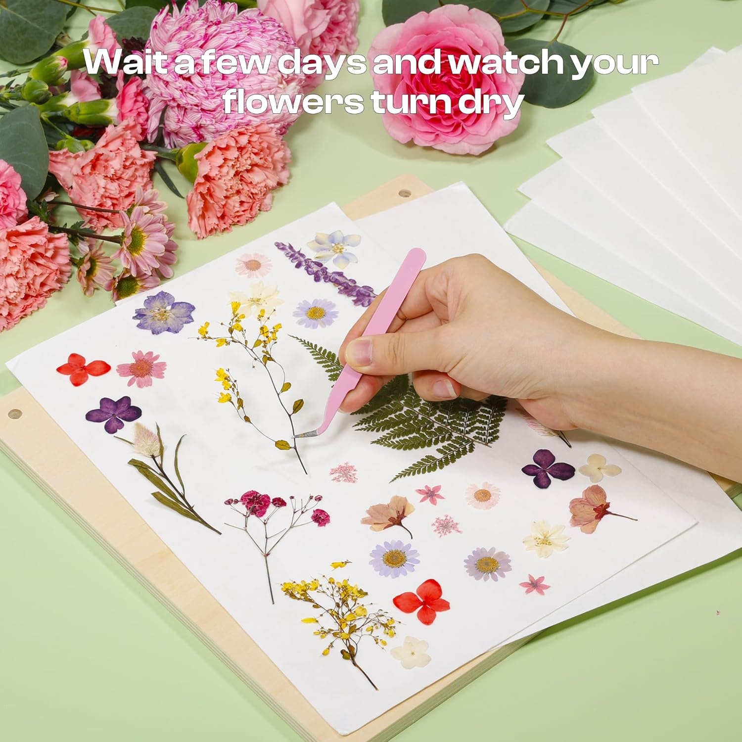 Caydo 20pcs Large 15 x 10 Inch Blotting Paper for Flower Press, Highly Absorbent and Reusable Blotter Papers for Pressing Flower & Herbarium, Herbs, Simply Cutting Blotter Sheets for Craft Supplies(11.8″ x 8.26″)